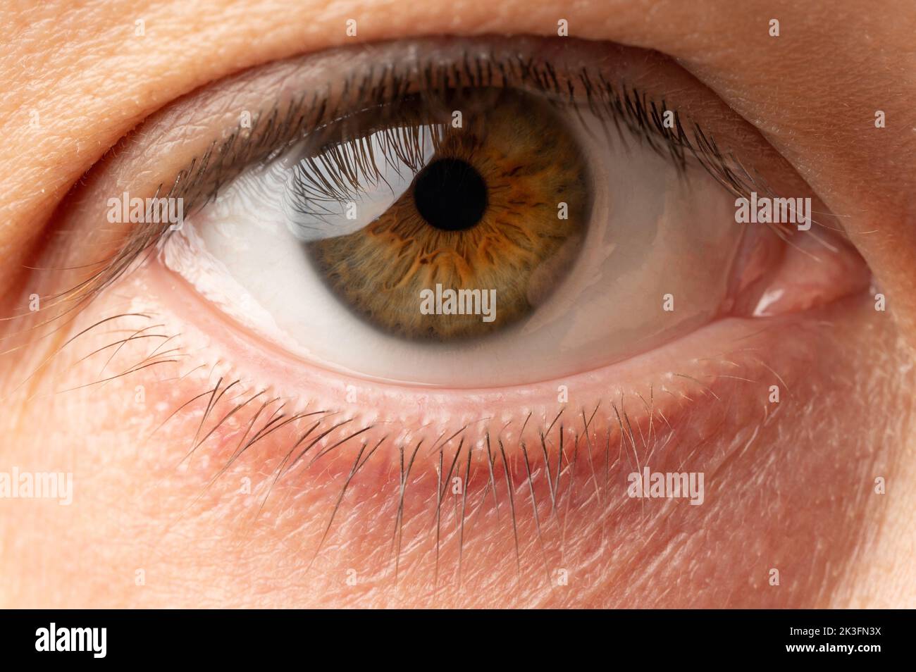 Pulire la vista ravvicinata macro dell'occhio umano aperta Foto Stock
