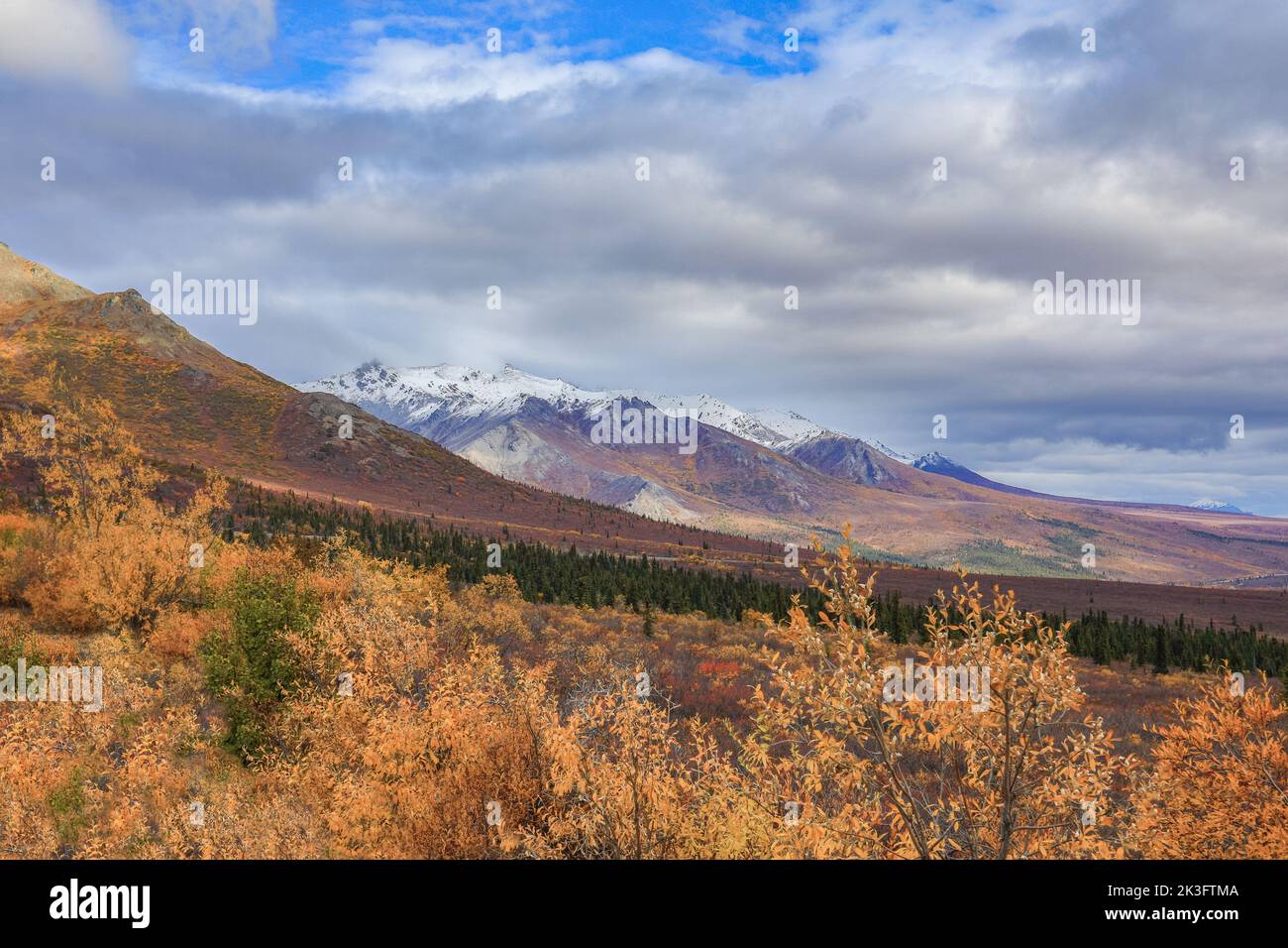 Punto panoramico del Denali National Park Alaska Foto Stock