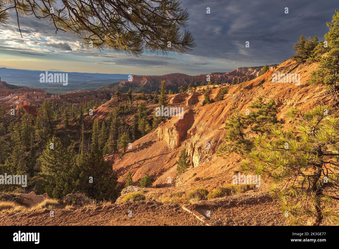 La mattina presto nel Bryce Canyon National Park. Foto Stock