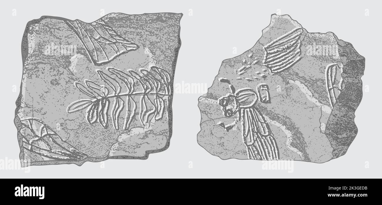 Pietra con impronte di scheletri di animali preistorici, insetti e piante. Archeologia grigia, frammenti di rocce di crack, massi di detriti. Set di Illustrazione Vettoriale