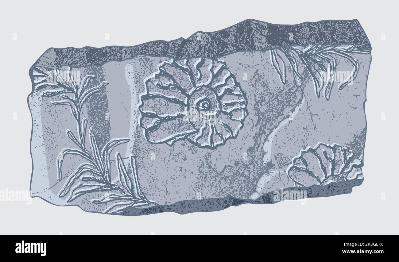 Pietra con impronte di scheletri di animali preistorici, insetti e piante. Archeologia grigia, frammenti di rocce di crack, massi di detriti. Set di Illustrazione Vettoriale