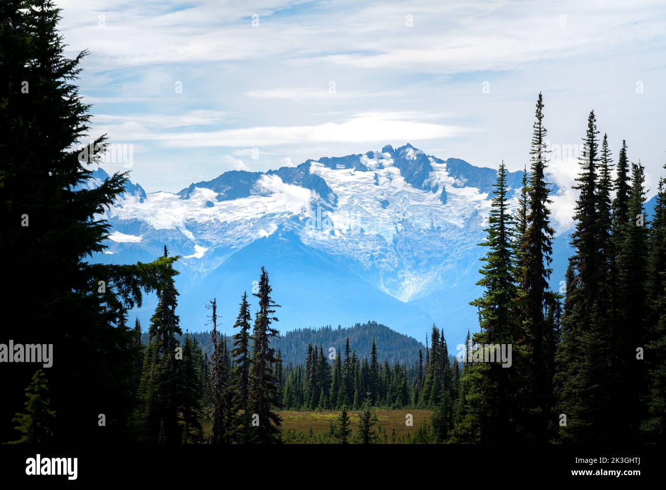 Vista sulle montagne costiere con ghiacciai attraverso gli alberi. Foto Stock