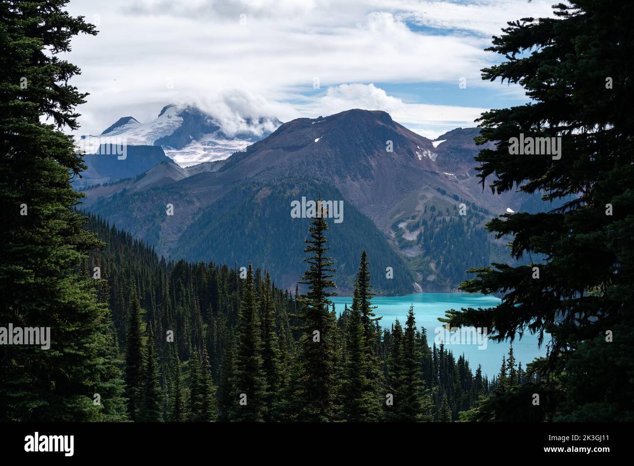 Vista sul Lago Garibaldi attraverso gli alberi sul sentiero Panorama Ridge. Foto Stock