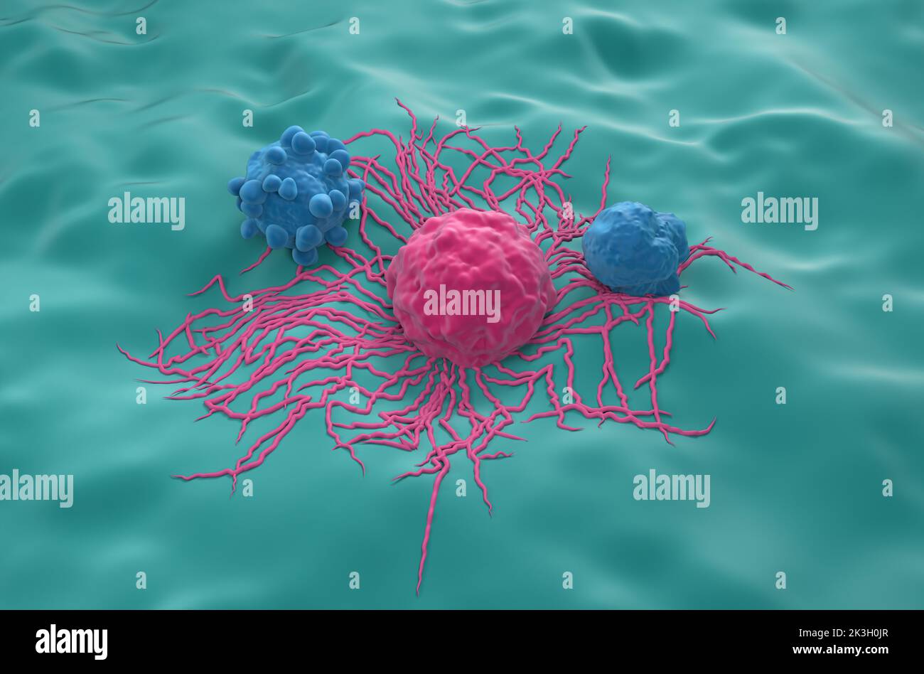 Cellule tumorali della tiroide - immagine isometrica 3D Foto Stock