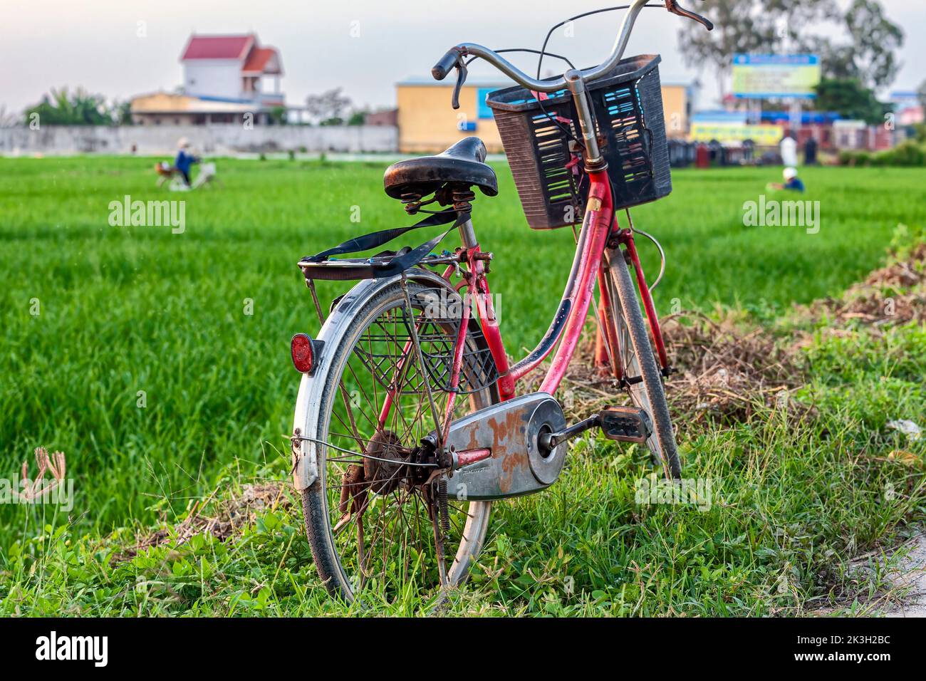 Parcheggio biciclette in risaia, Hai Phong, Vietnam rurale Foto Stock