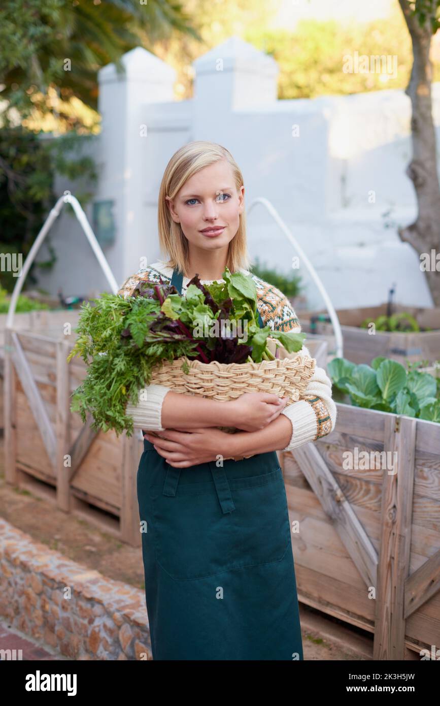Che stagione di giardinaggio abbondante. Ritratto di una giovane donna attraente che fa un po 'di giardinaggio vegetale. Foto Stock