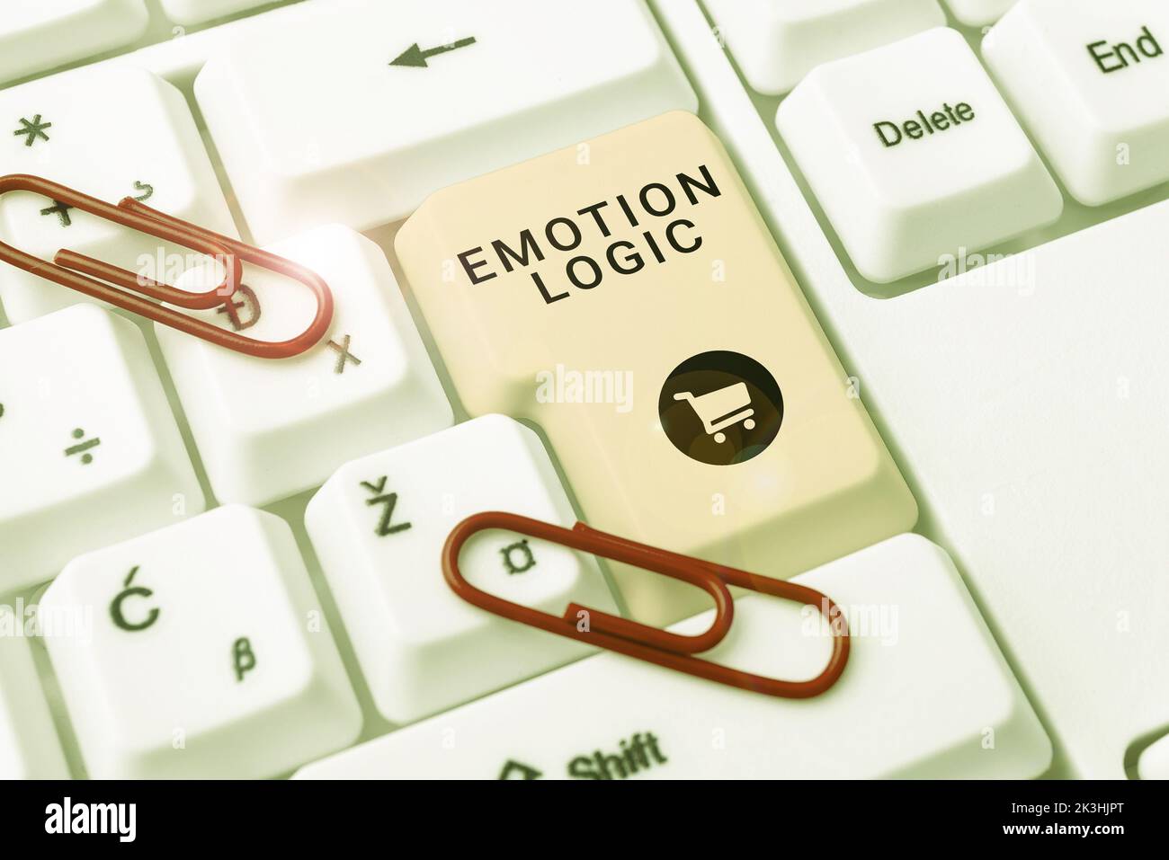 Scrittura che mostra il testo Emotion Logic. Concettuale foto cuore o anima cerebrale o intelligenza confusione equilibrio uguale Foto Stock