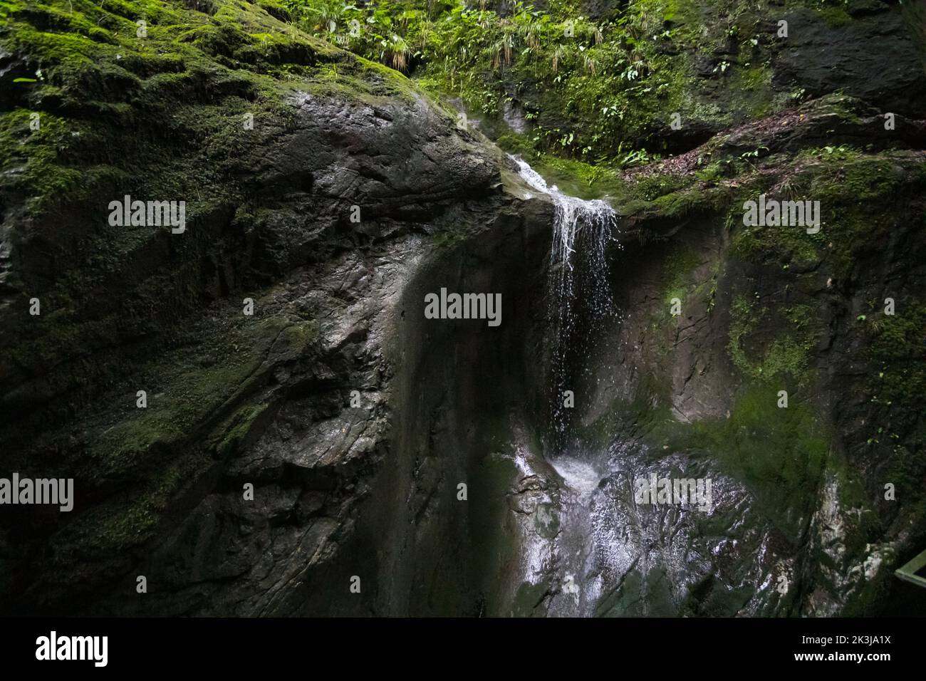 L'acqua che scende lungo un muro di montagna a Rappenlochschlucht vicino a Dornbirn, Austria Foto Stock