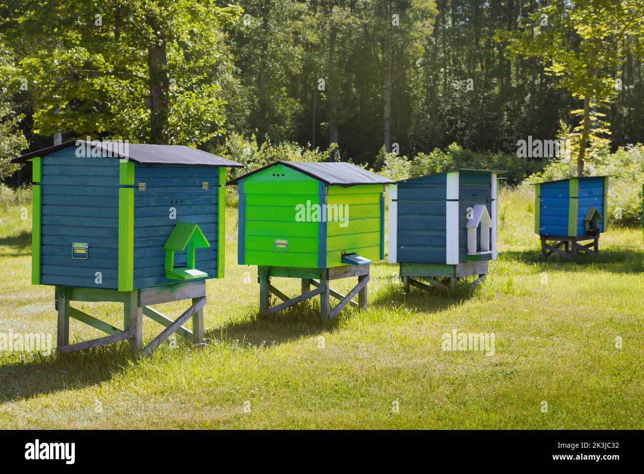 alveari colorati blu e verde di api nella foresta. Alveari di legno all'erba. Giorno estivo soleggiato Foto Stock