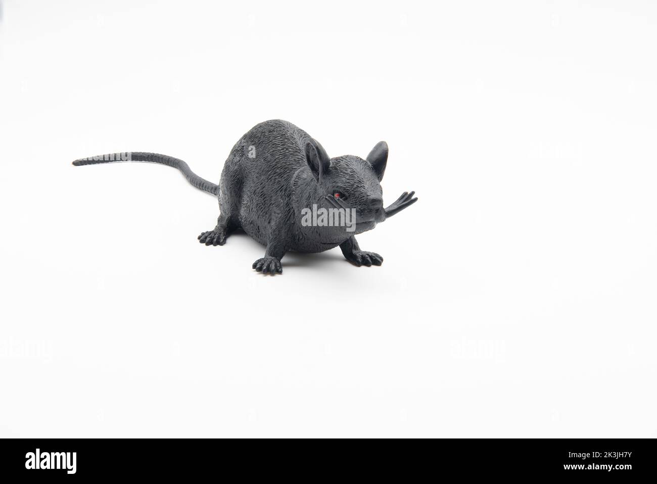 Mouse giocattolo nero su sfondo bianco. Foto Stock
