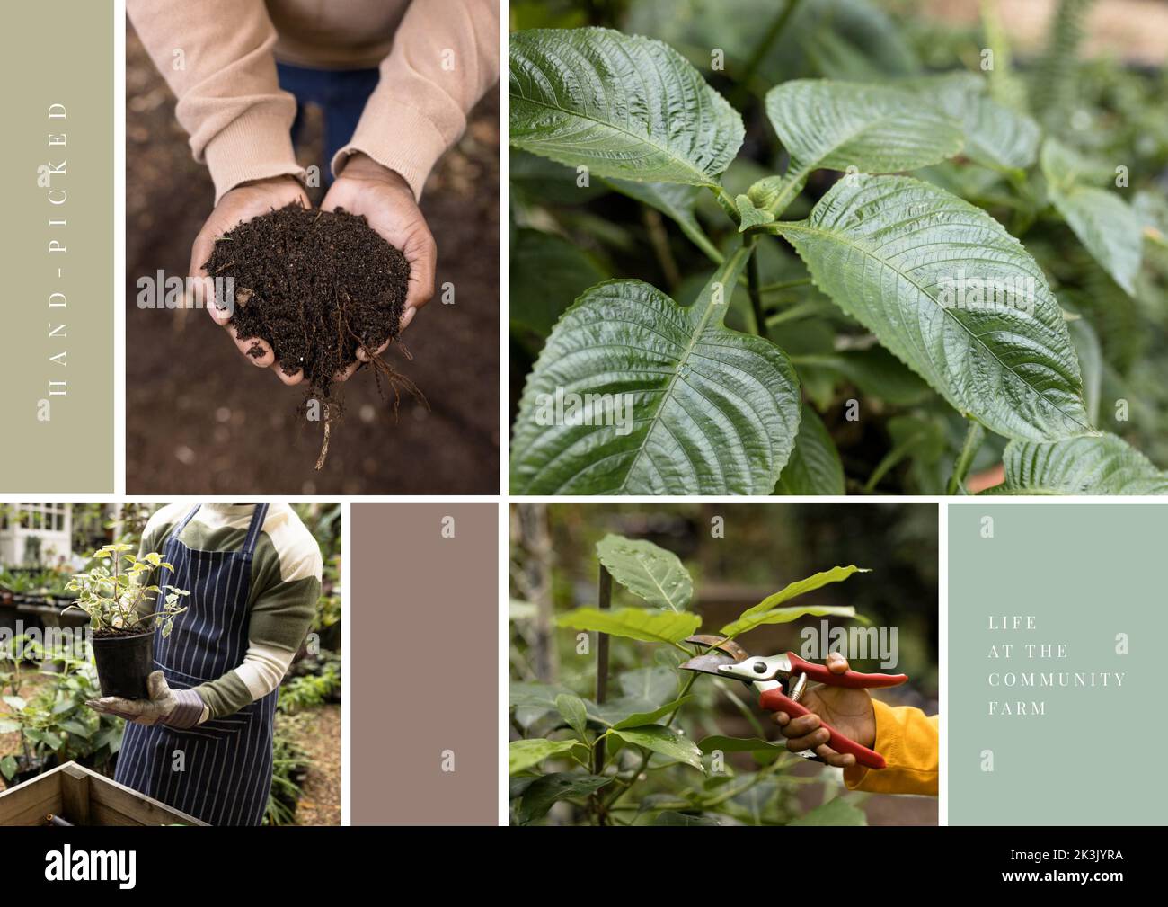 Composizione di testo raccolto a mano sull'uomo in giardino Foto Stock