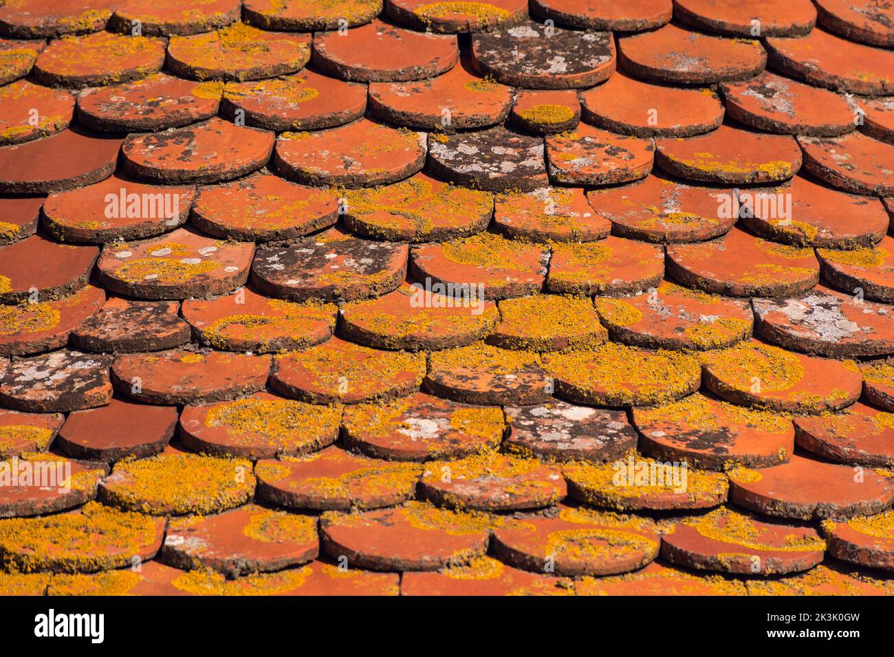 Vista panoramica delle tegole tetto di una vecchia chiesa nel sud della Francia durante il giorno di sole Foto Stock