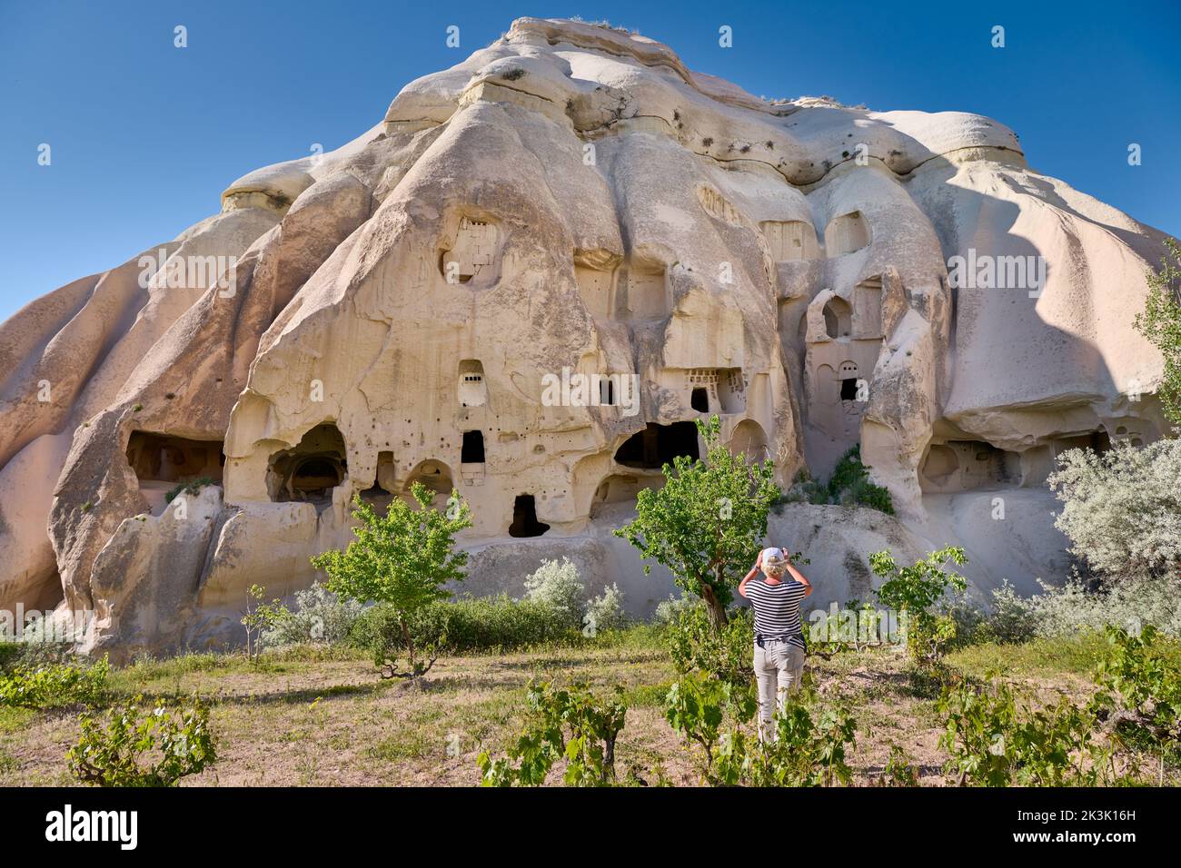 Case rupestri scolpite o abitazioni rupestri nel paesaggio di Valle delle Rose Goreme, Cappadocia, Anatolia, Turchia Foto Stock