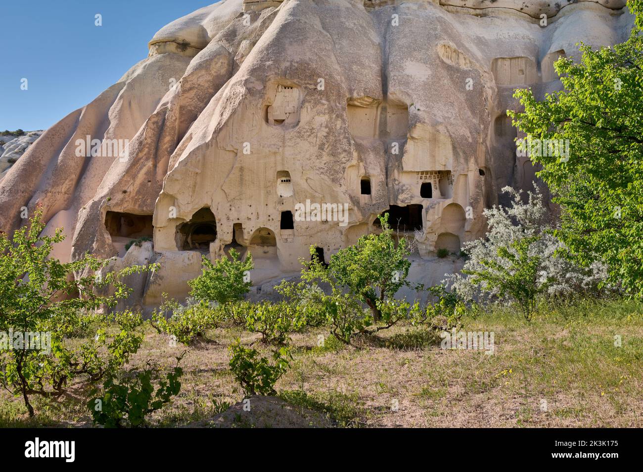 Case rupestri scolpite o abitazioni rupestri nel paesaggio di Valle delle Rose Goreme, Cappadocia, Anatolia, Turchia Foto Stock