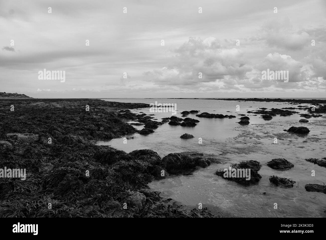 Una scala di grigi delle rocce sulla riva di una spiaggia sull'Isola di Wight Foto Stock