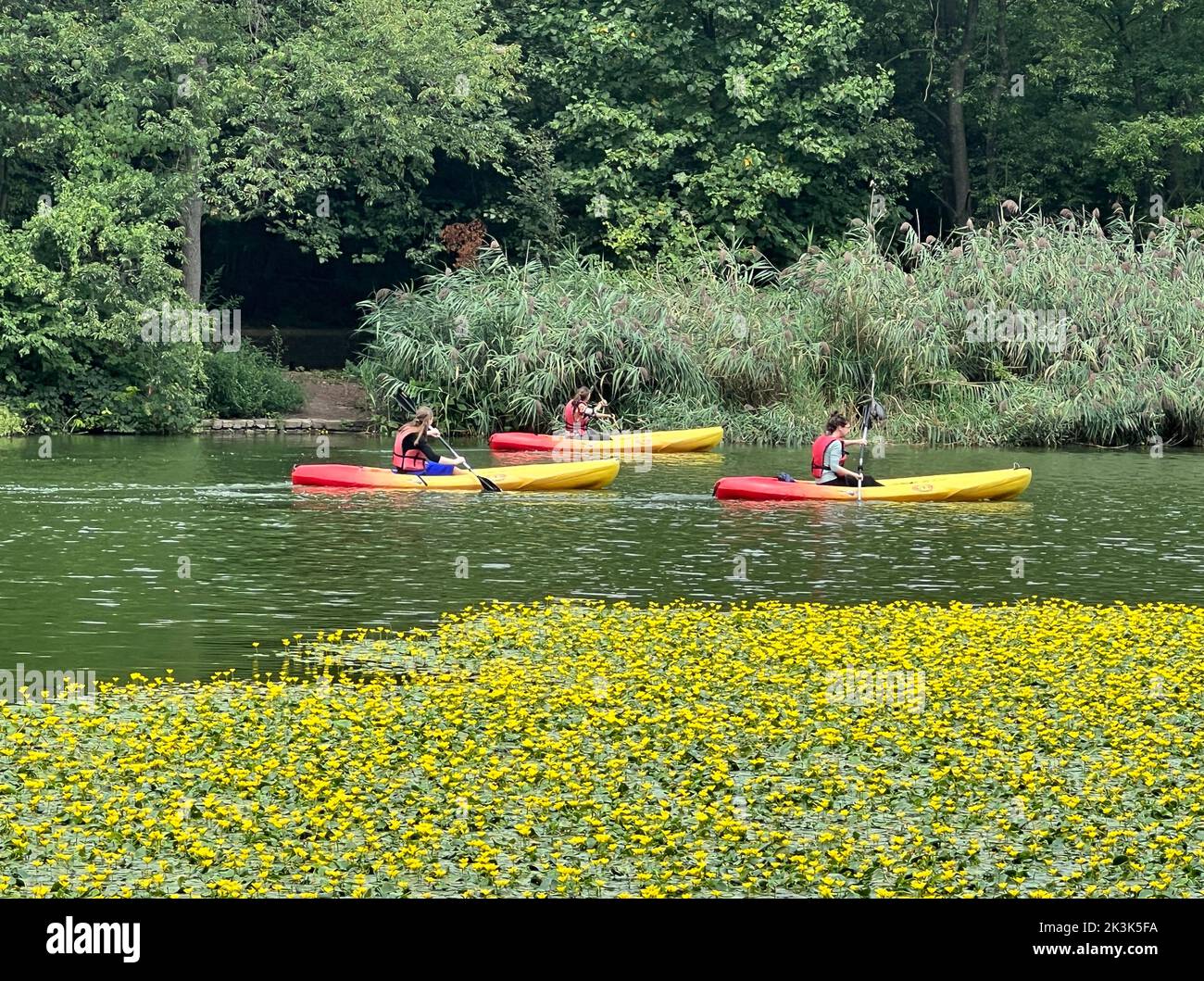 3 donne in kayak sul lago a Prospect Park in una calda giornata estiva a Brooklyn, New York. Foto Stock