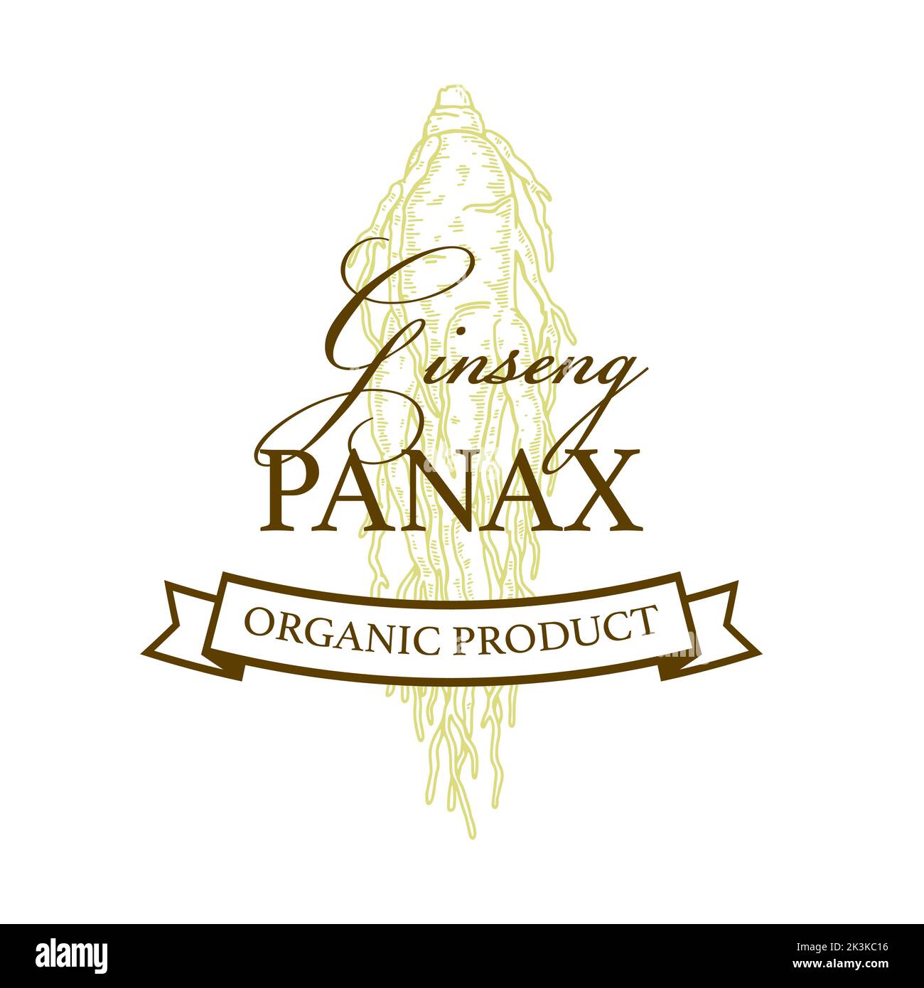 Logo ginseng vintage disegnato a mano. Illustrazione del vettore botanico nello stile di schizzo. Stampa confezionamento piante medicinali Illustrazione Vettoriale