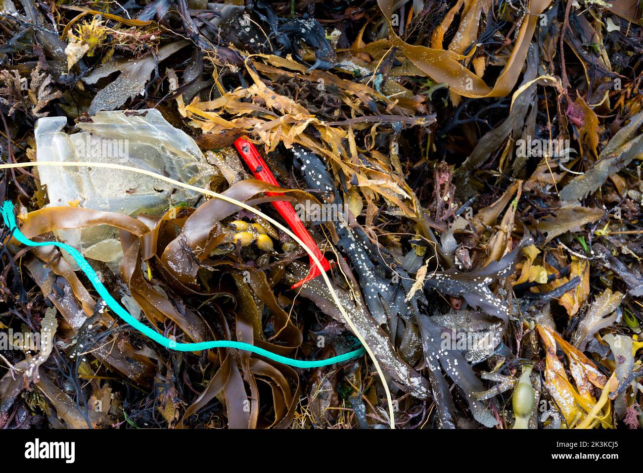 Detriti di plastica che disseminavano una spiaggia con alghe sulla costa di Donregal, Irlanda Foto Stock