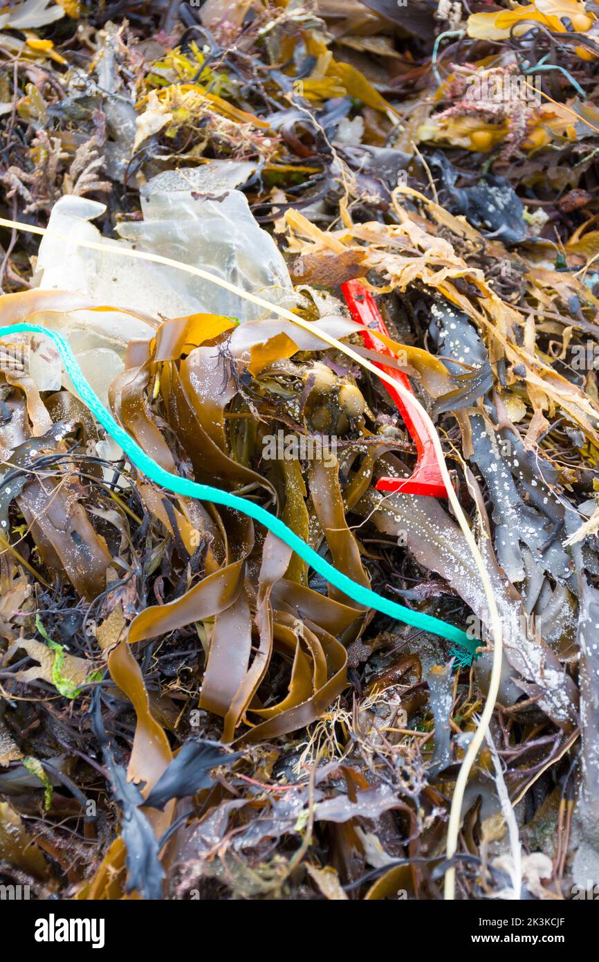 Detriti di plastica che disseminavano una spiaggia con alghe sulla costa di Donregal, Irlanda Foto Stock