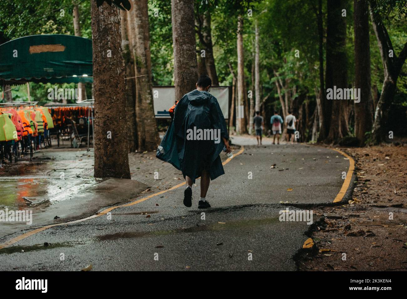 Uomo che indossa un impermeabile che cammina lungo un sentiero nella foresta in una giornata di pioggia Foto Stock
