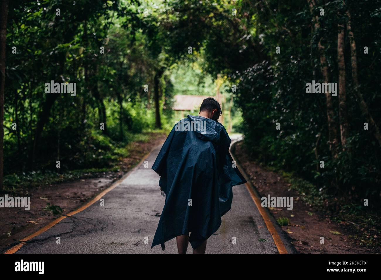 Uomo che indossa un impermeabile che cammina nel mezzo di una strada vicino alla foresta Foto Stock