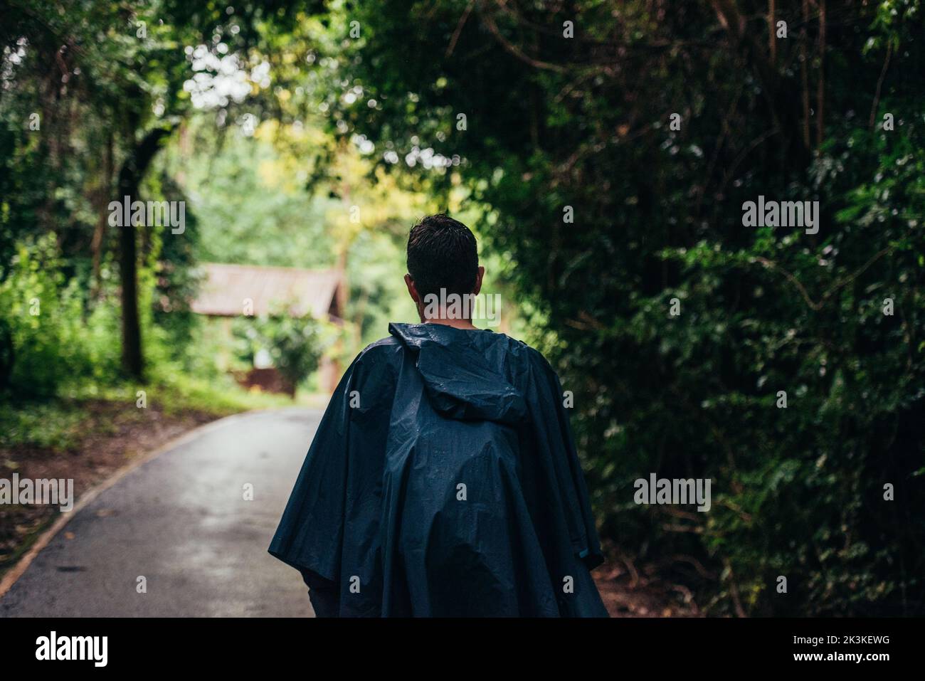 Uomo che indossa un impermeabile che cammina nel mezzo di una strada vicino alla foresta Foto Stock