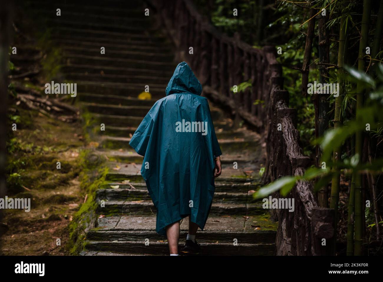 Uomo che indossa un impermeabile che sale alcune scale nella natura Foto Stock