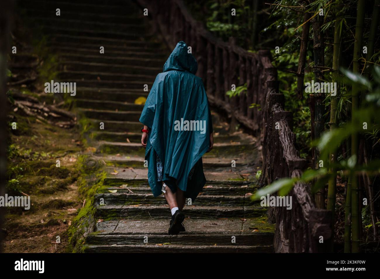 Uomo che indossa un impermeabile camminando nella natura Foto Stock