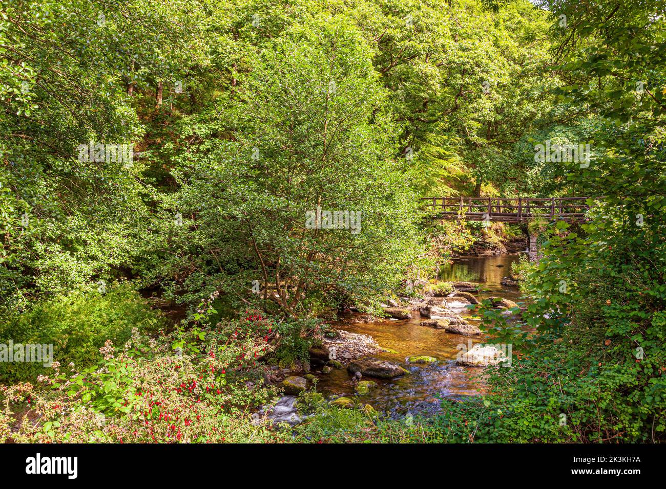 La Coleridge Way accanto al fiume East Lyn sul Parco Nazionale Exmoor a Rockford, Devon, Regno Unito Foto Stock