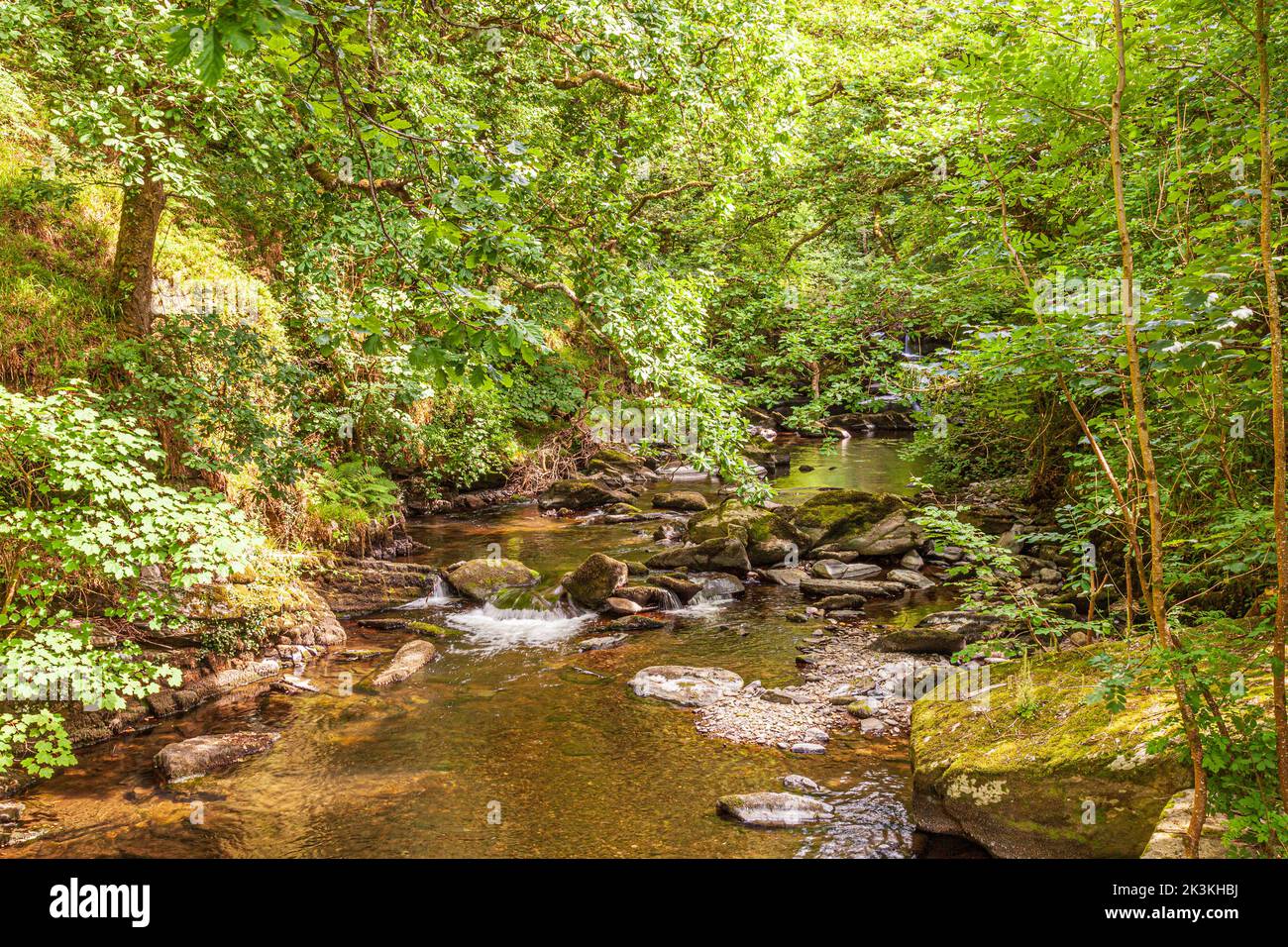 Il fiume East Lyn accanto alla Coleridge Way sul Parco Nazionale Exmoor a Rockford, Devon, Regno Unito Foto Stock