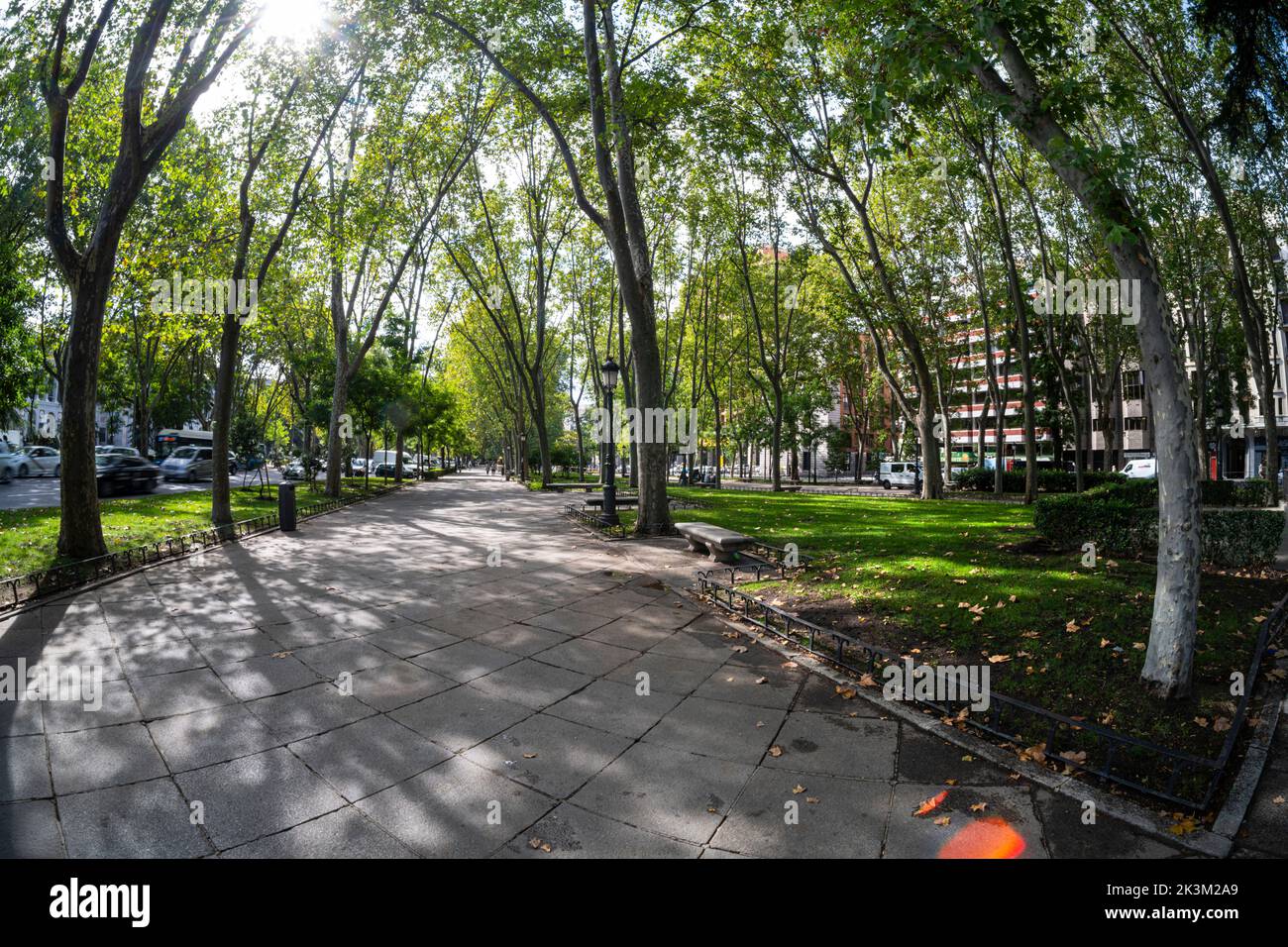 Madrid, Spagna, settembre 2022. Vista del passaggio verde nel Paseo del Prado nel centro della città Foto Stock