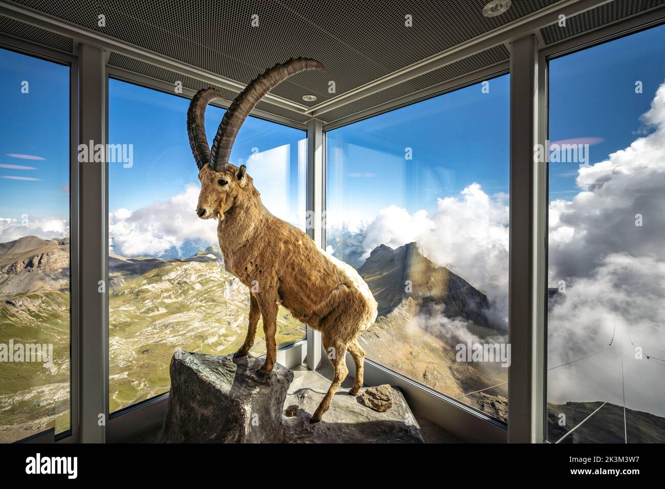 Sulla cima del monte Schilthorn, vicino a Lauterbrunnen, Svizzera Foto Stock