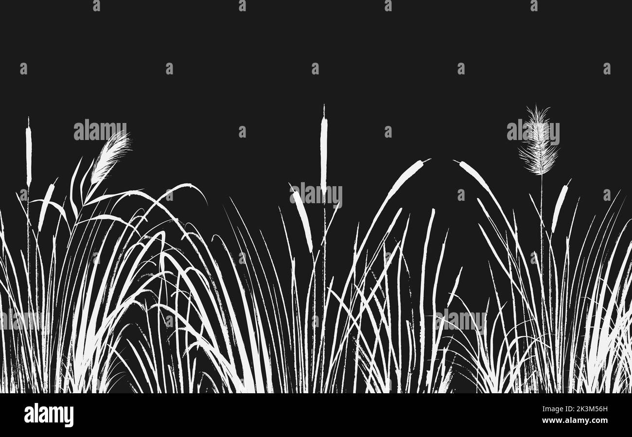 Disegno vettoriale isolato. Immagine di una canna bianca o di un bulrush su sfondo nero. Illustrazione Vettoriale