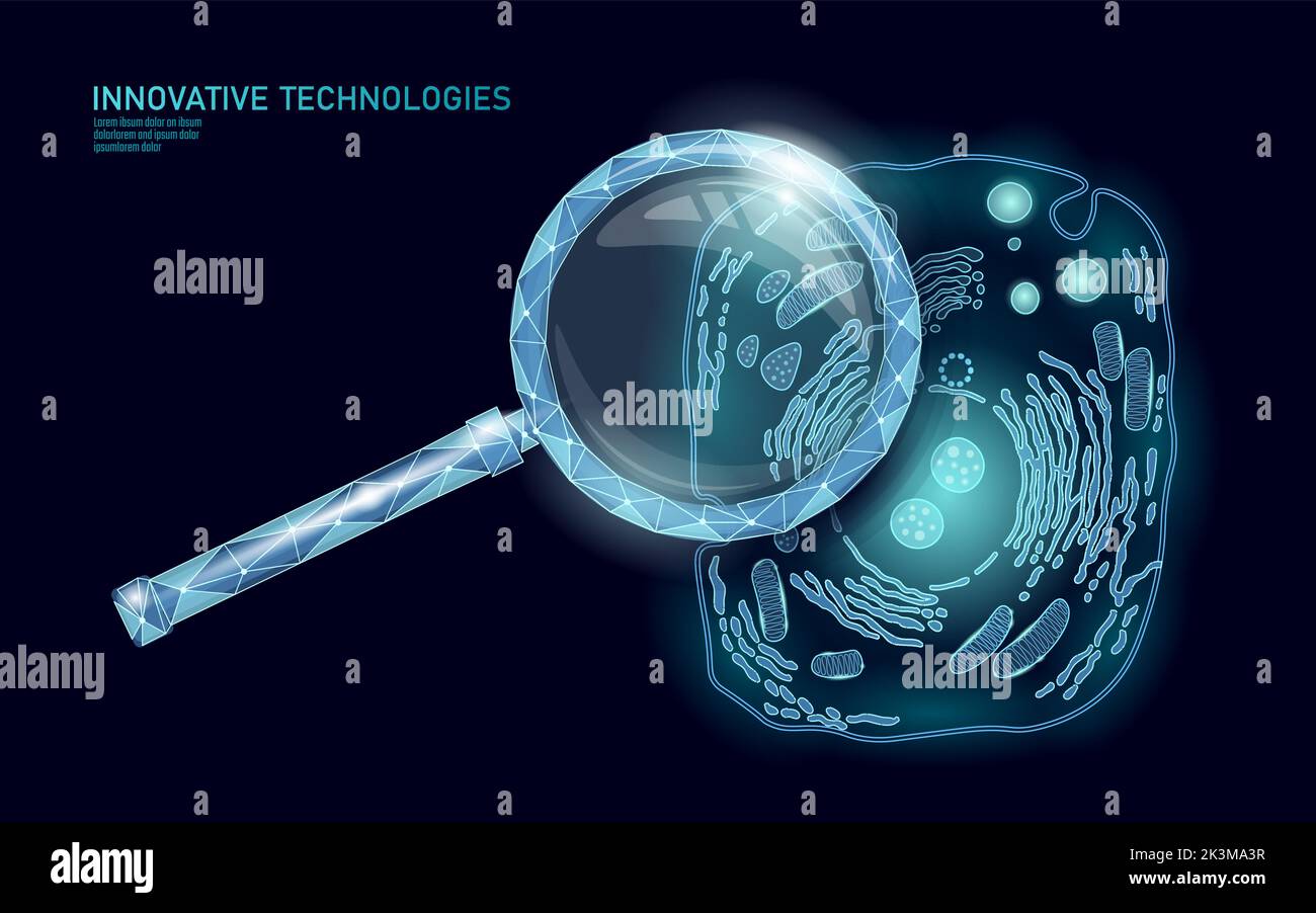 Animale cellula umana struttura scienze educative. Microscopio 3d nucleo eucariotico organelle medicina analisi della tecnologia. Blu brillante poster di biologia Illustrazione Vettoriale