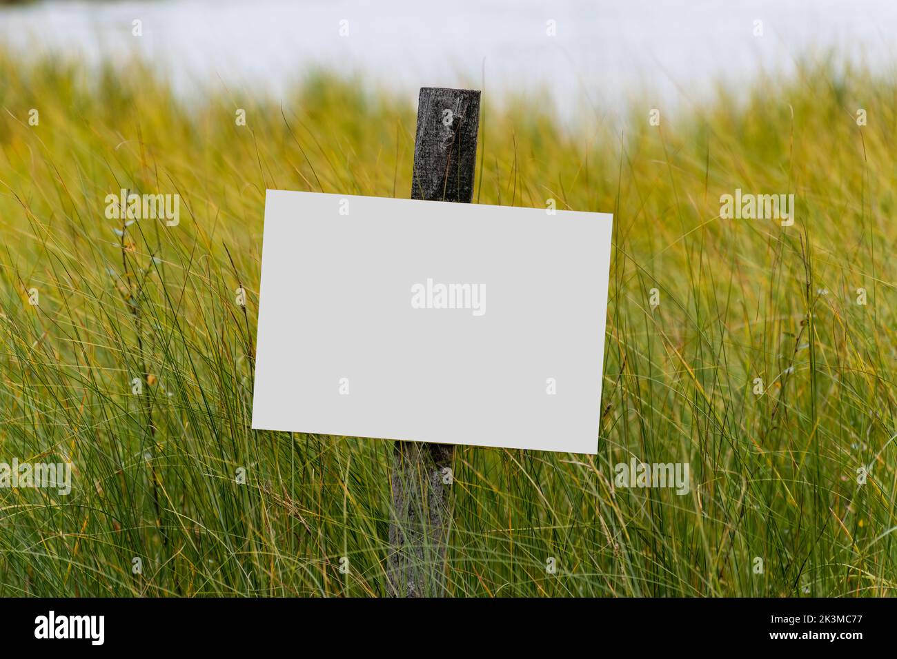 Bianco segno bianco su un palo di legno tra l'erba verde Foto Stock
