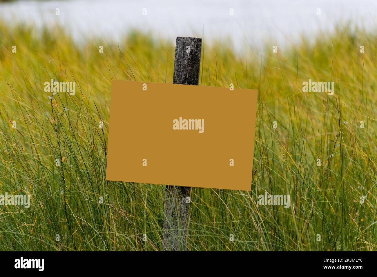 Bianco segno giallo su un palo di legno tra l'erba verde Foto Stock