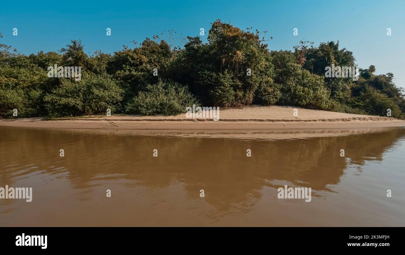 Paesaggio fluviale Cuiabá, Foresta Pantanal , Mato grosso, Brasile Foto Stock