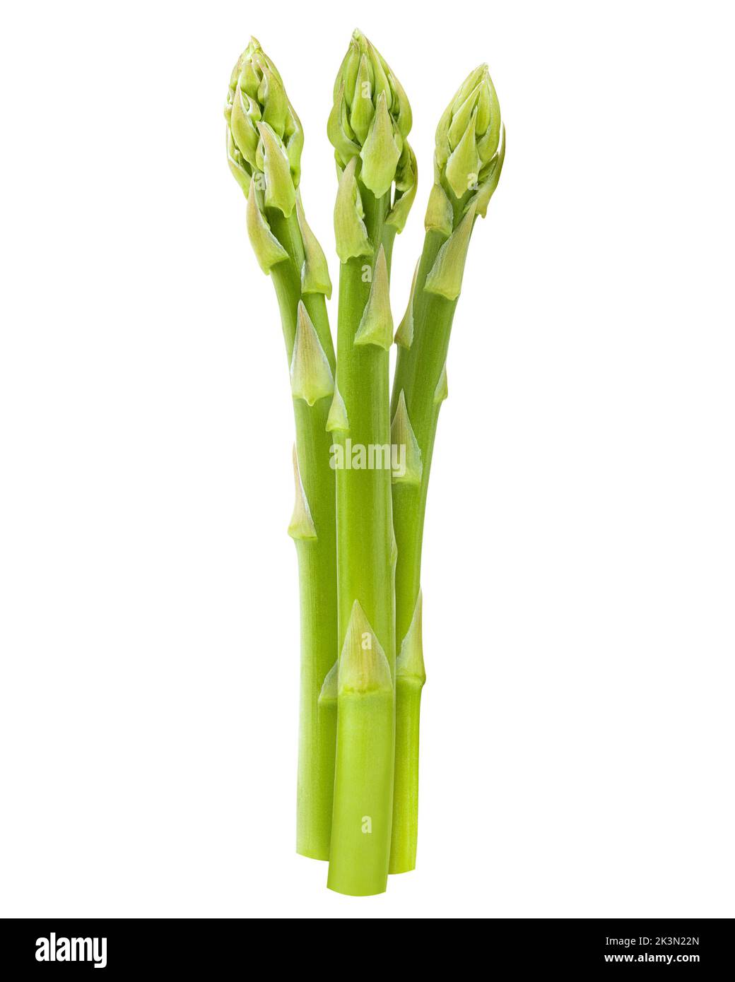 asparagi isolati su sfondo bianco, percorso di ritaglio, profondità di campo completa Foto Stock