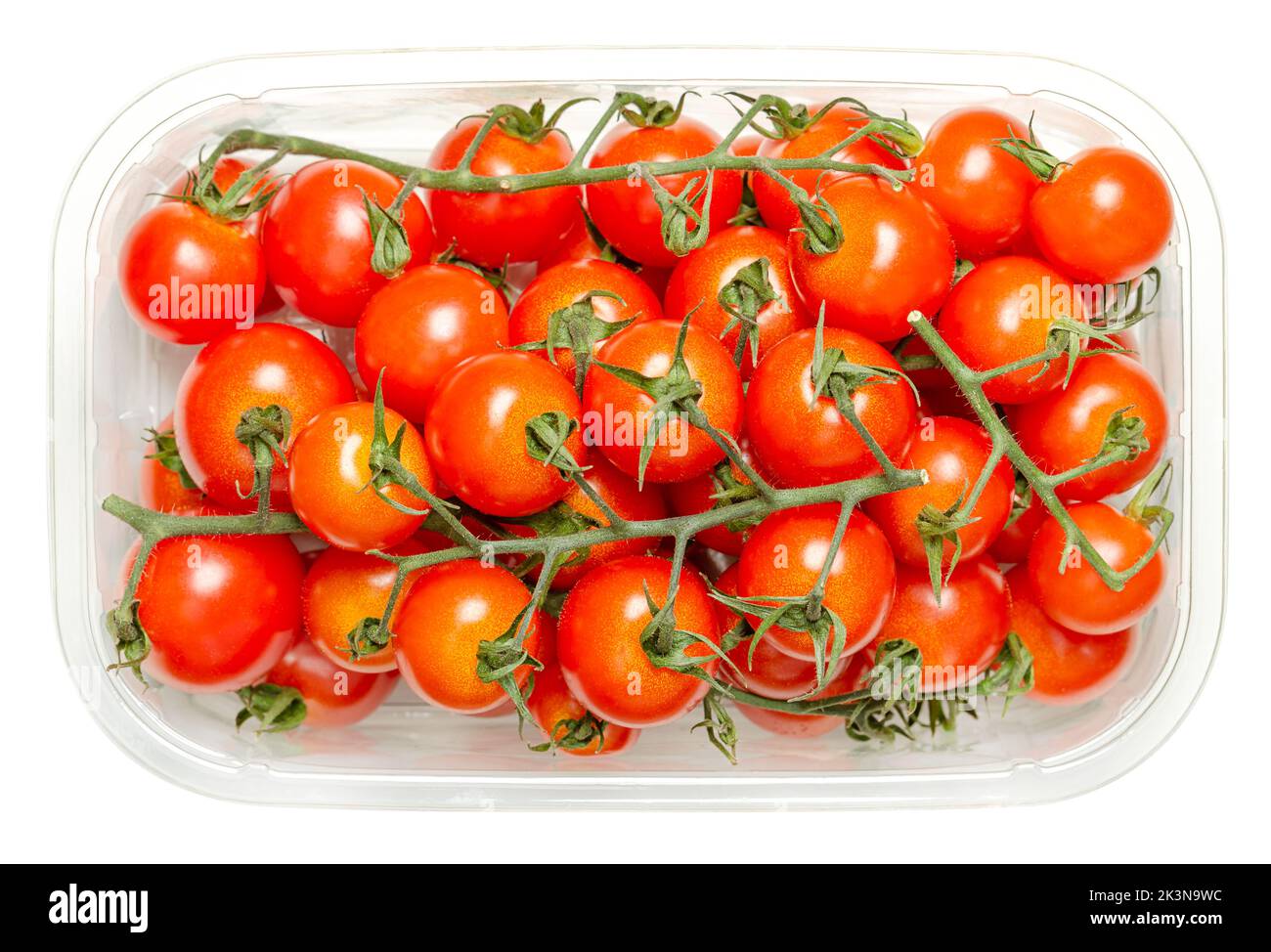 Pomodori ciliegini sulla vite in contenitore di plastica trasparente, dall'alto, isolato su bianco. Tipo fresco e maturo di pomodori da cocktail rossi piccoli e tondi. Foto Stock