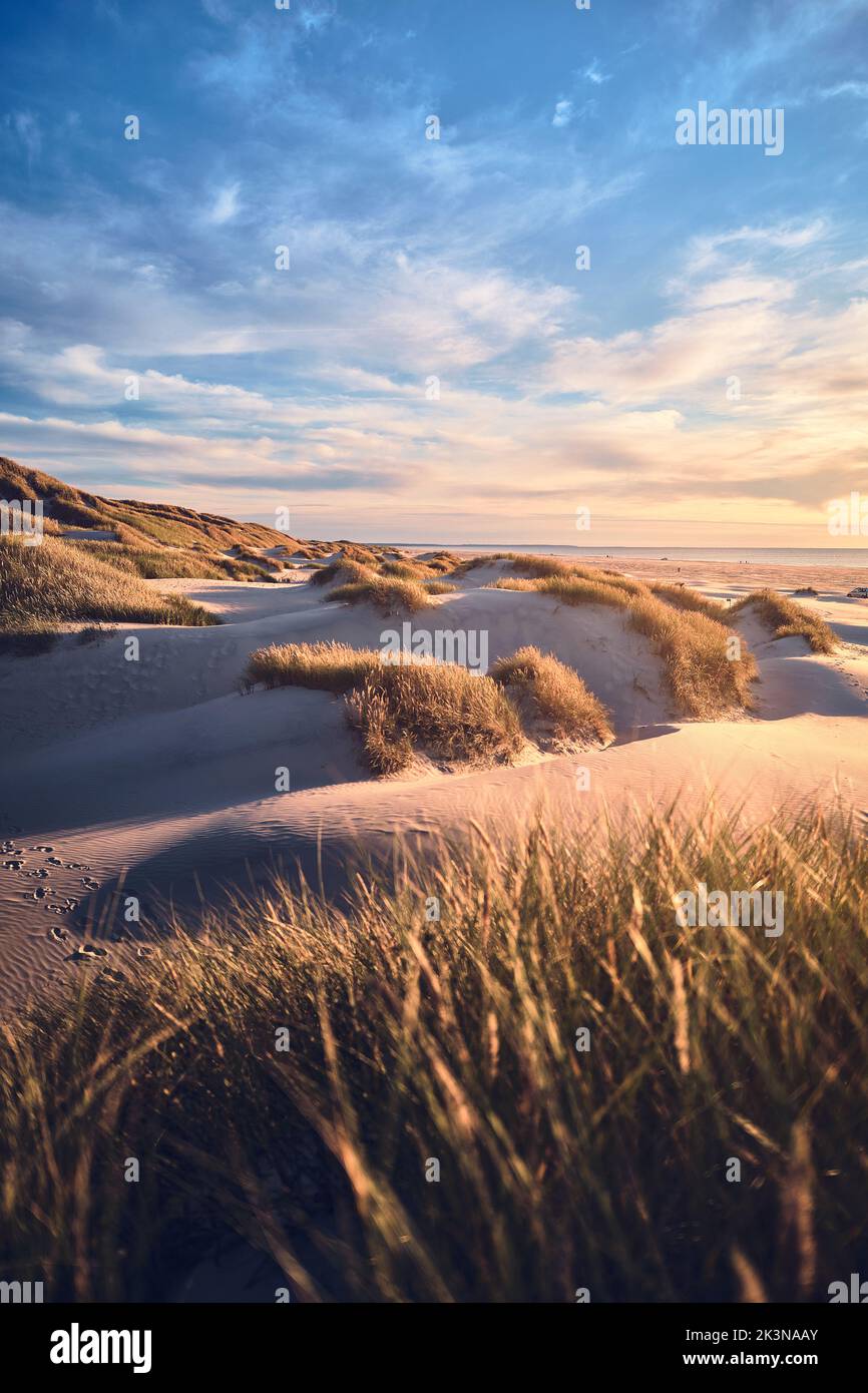 Tramonto alle dune selvagge del nord della Danimarca. Foto di alta qualità Foto Stock