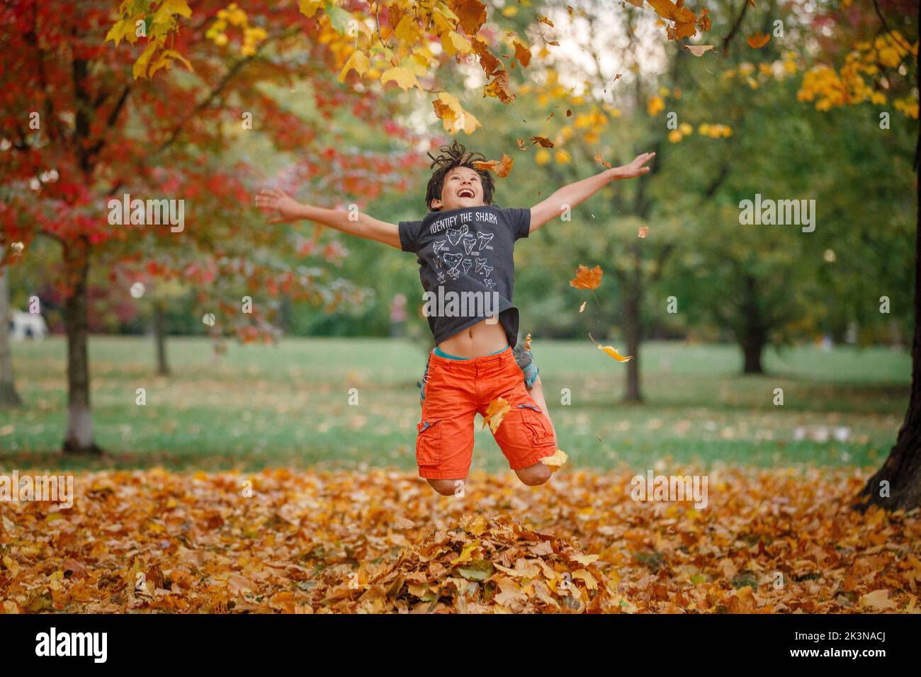 Un ragazzo gioioso salta in un mucchio di foglie cadute nel parco Foto Stock