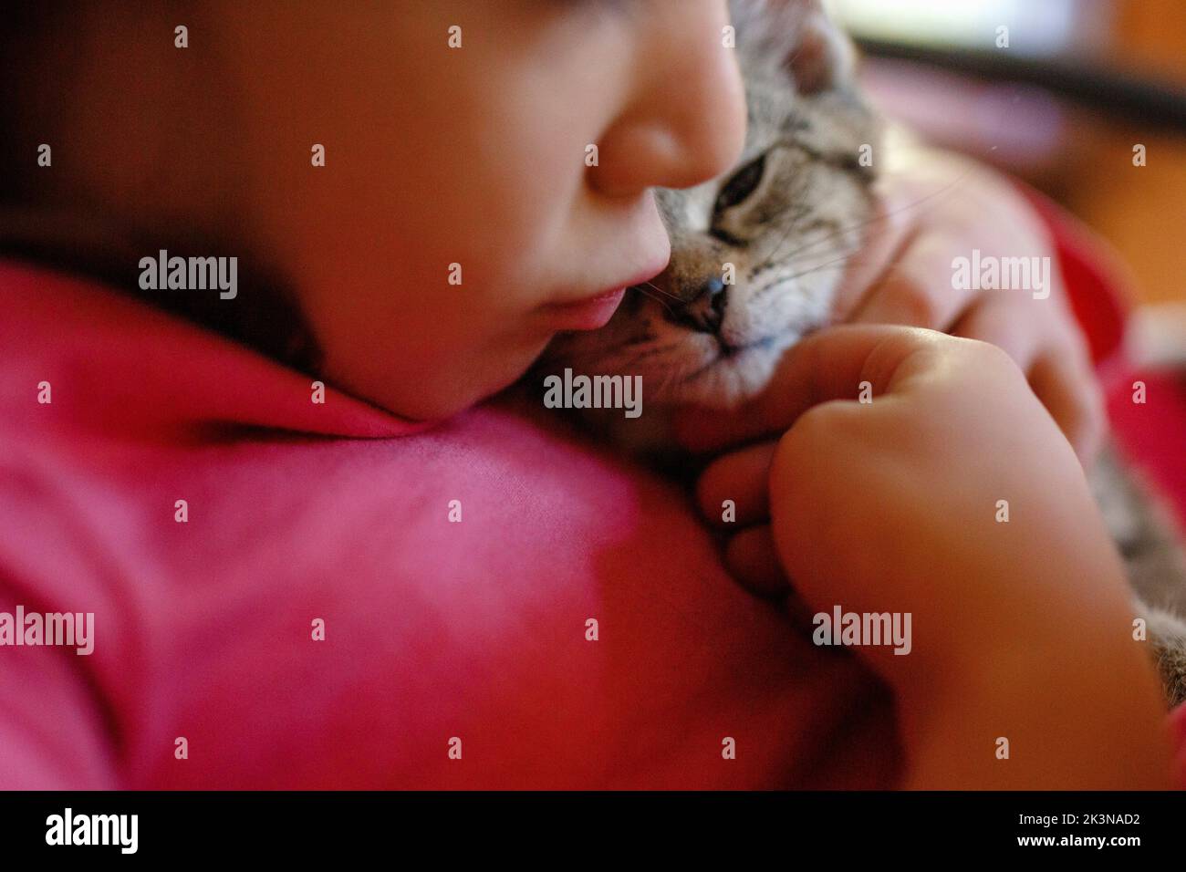 Primo piano di un bambino che bacia e coccola un piccolo gattino Foto Stock