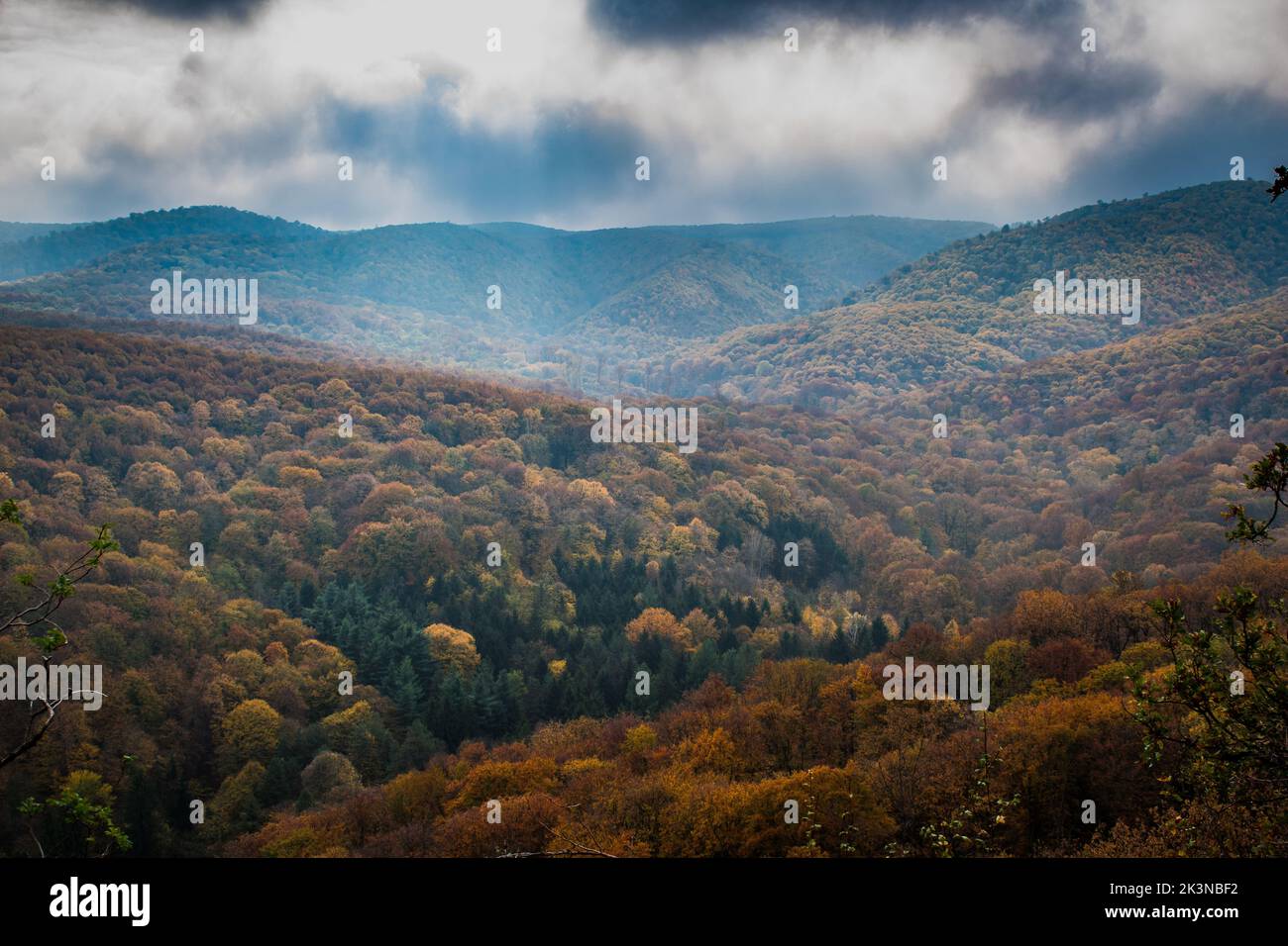 Parco Nazionale Fruska Gora in Serbia, autunno Foto Stock