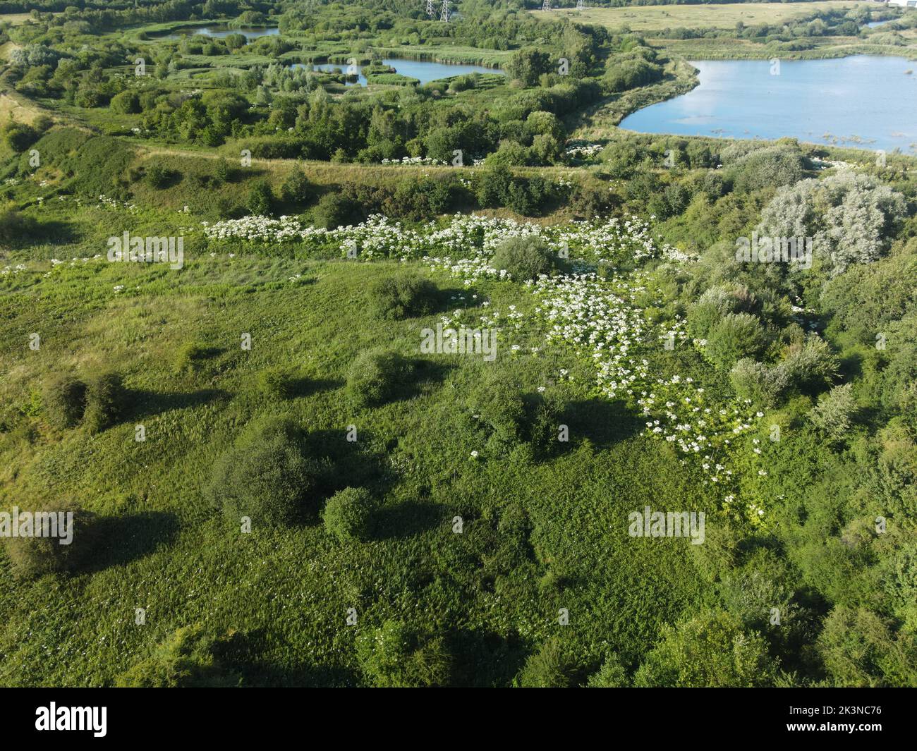 Una vista aerea di un paesaggio con zone umide, prati e alberi Foto Stock