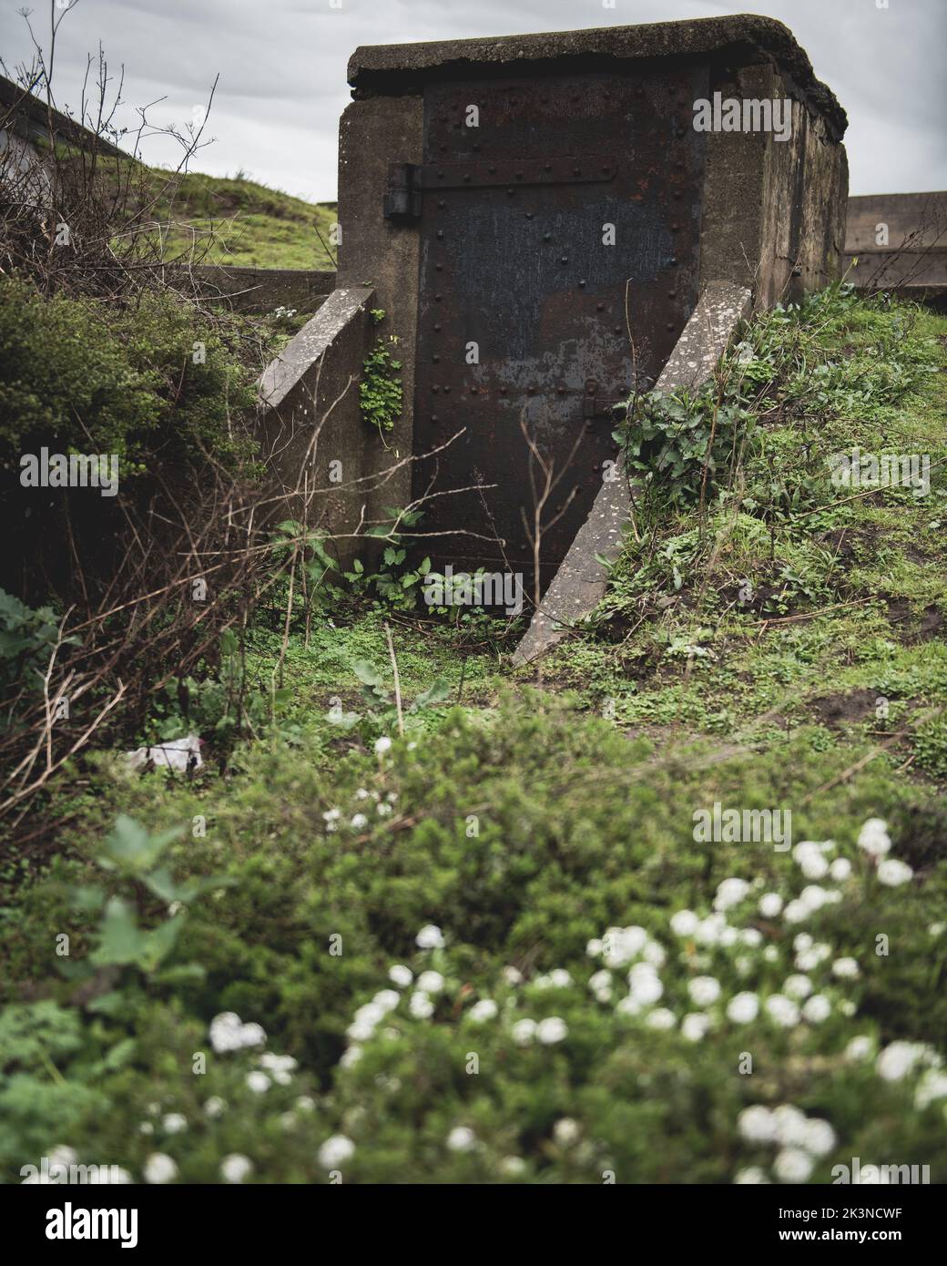 Uno scatto verticale di un ingresso in pietra ad un bunker abbandonato coperto di edera e muschio Foto Stock