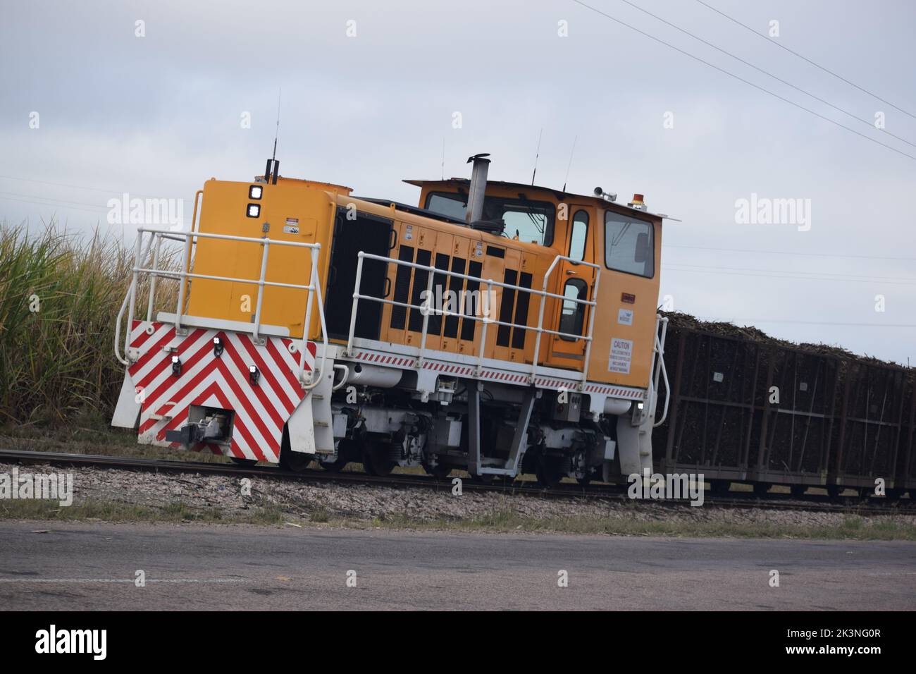 Canna da zucchero treno Foto Stock