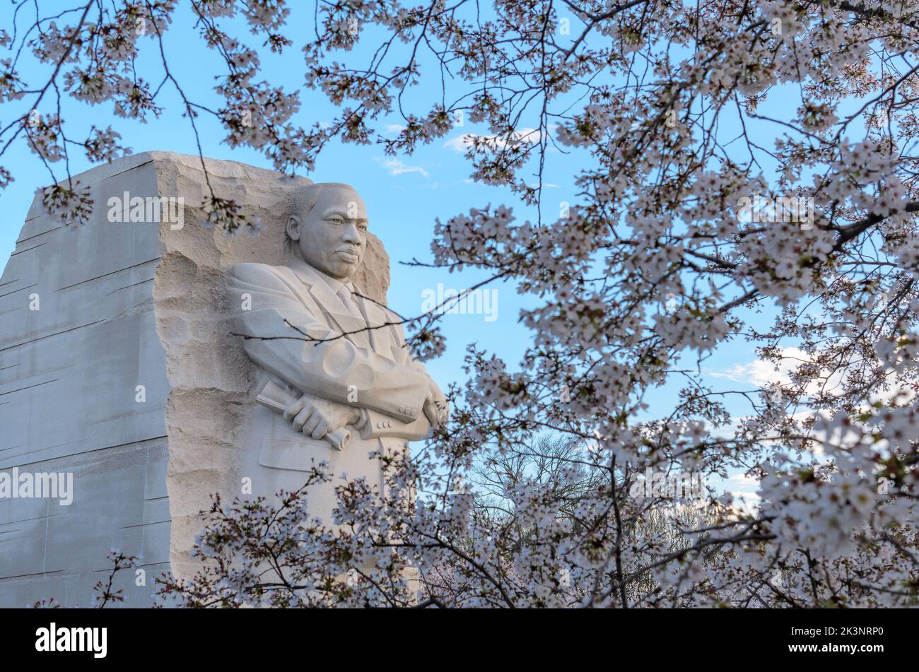 Il MLK Memorial al Tidal Basin di Washington DC durante il Cherry Blossom Festival Foto Stock