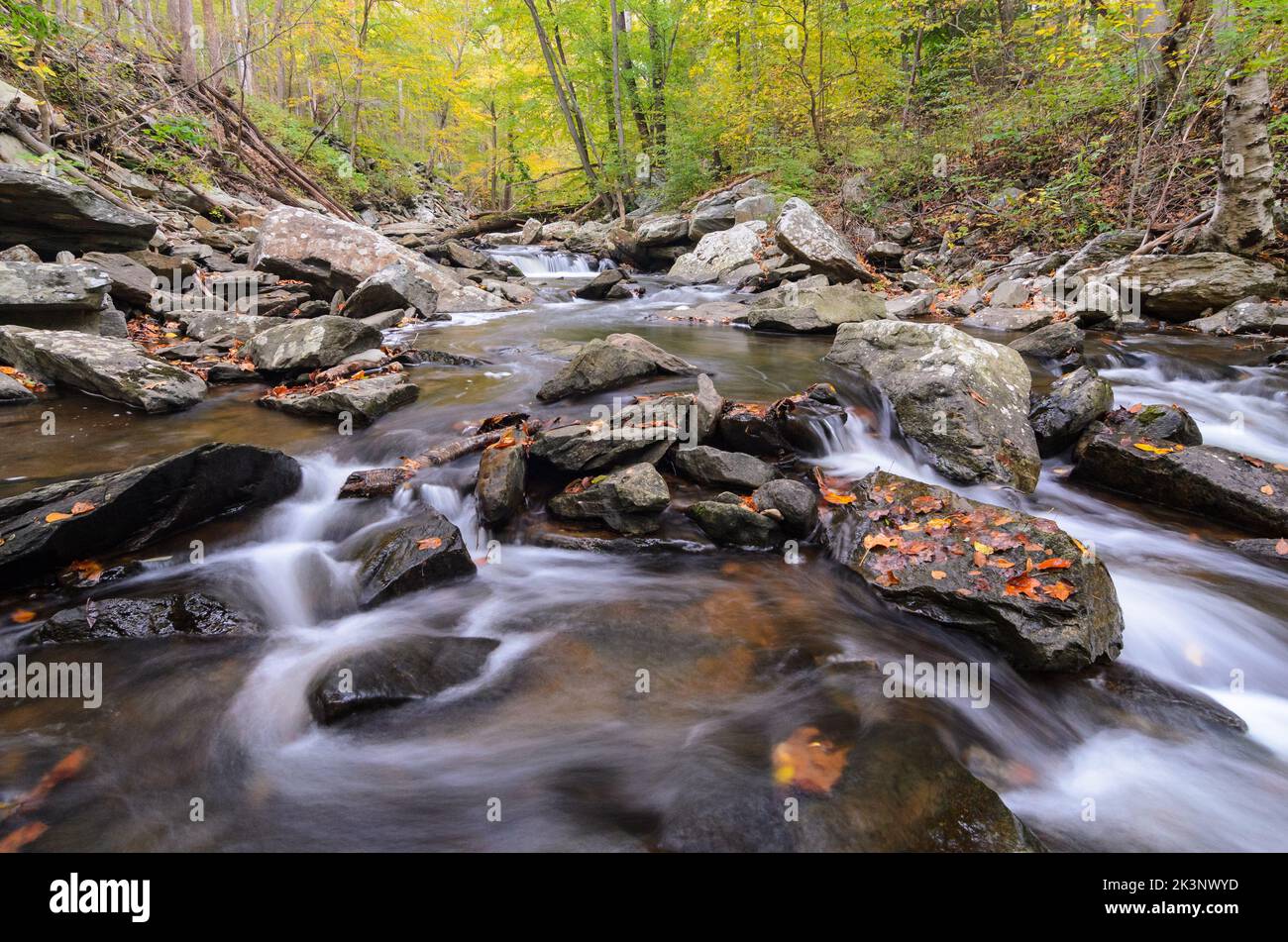 Cascate nel Big Hunting Creek al di fuori di Thurmont, Maryland, nel Catottin Mountain Park Foto Stock
