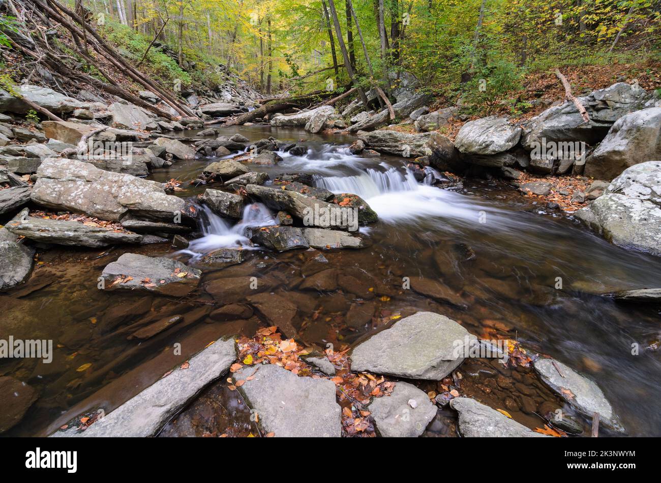 Cascate nel Big Hunting Creek al di fuori di Thurmont, Maryland, nel Catottin Mountain Park Foto Stock