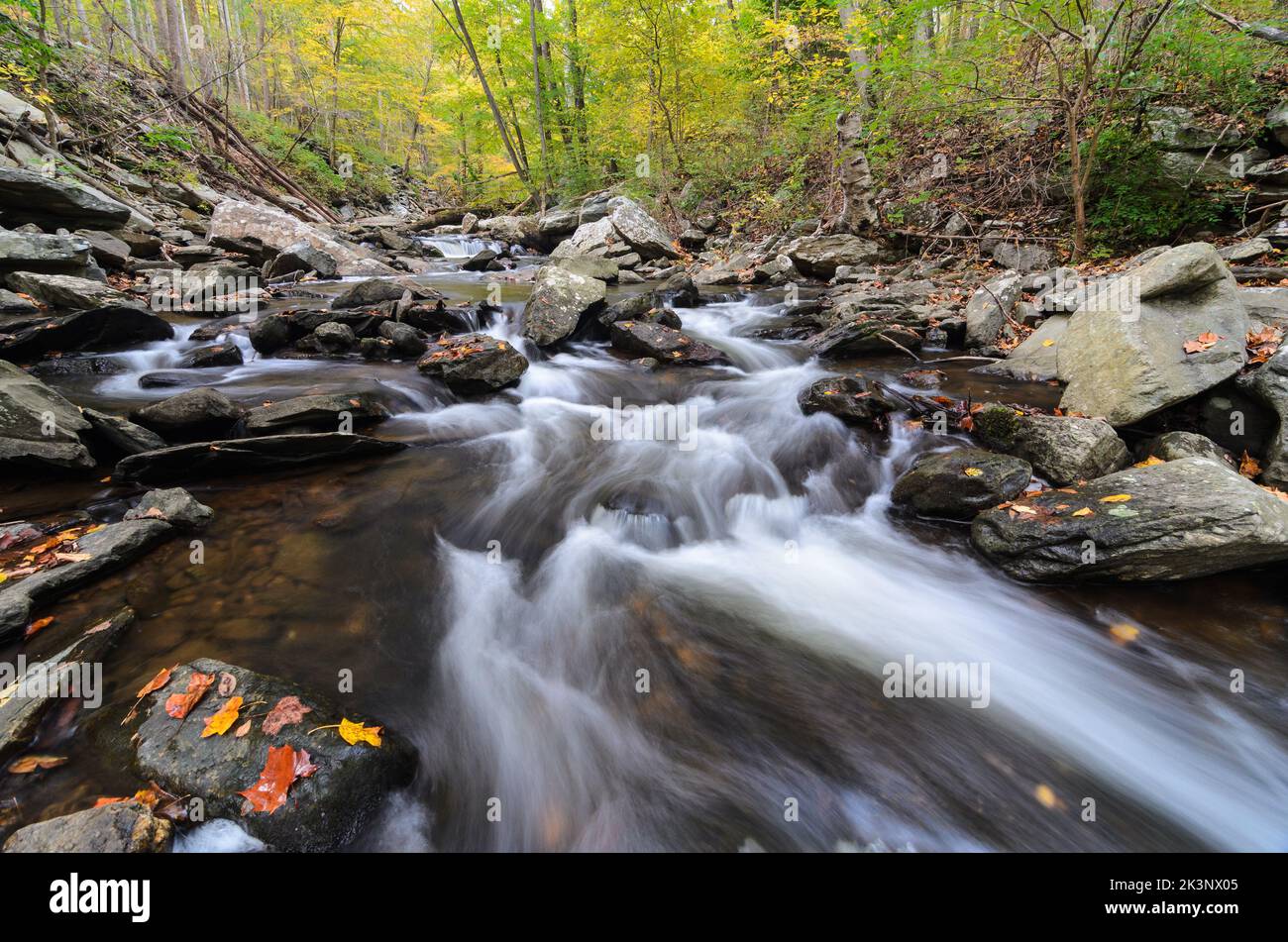 Cascate nel Big Hunting Creek al di fuori di Thurmont, Maryland, nel Catottin Mountain Park Foto Stock